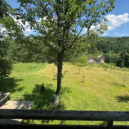 Nature *